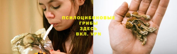 скорость Белокуриха