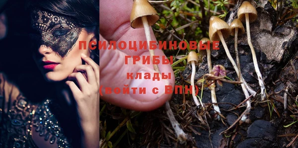 скорость Белокуриха