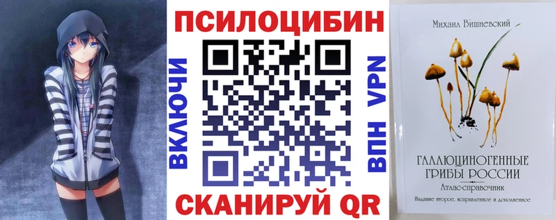 Галлюциногенные грибы Psilocybe купить наркотики цена Ейск